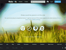 Tablet Screenshot of flickr.com